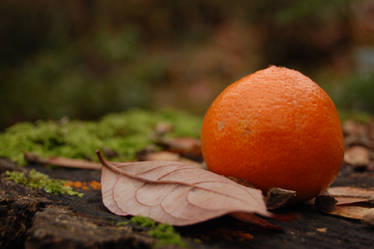 Orange