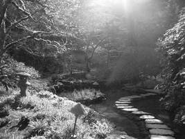 the japanese garden