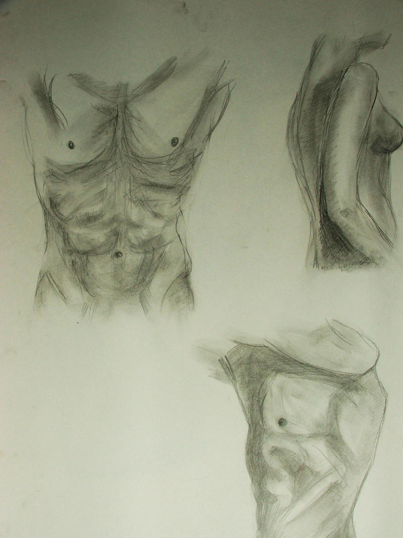 body study