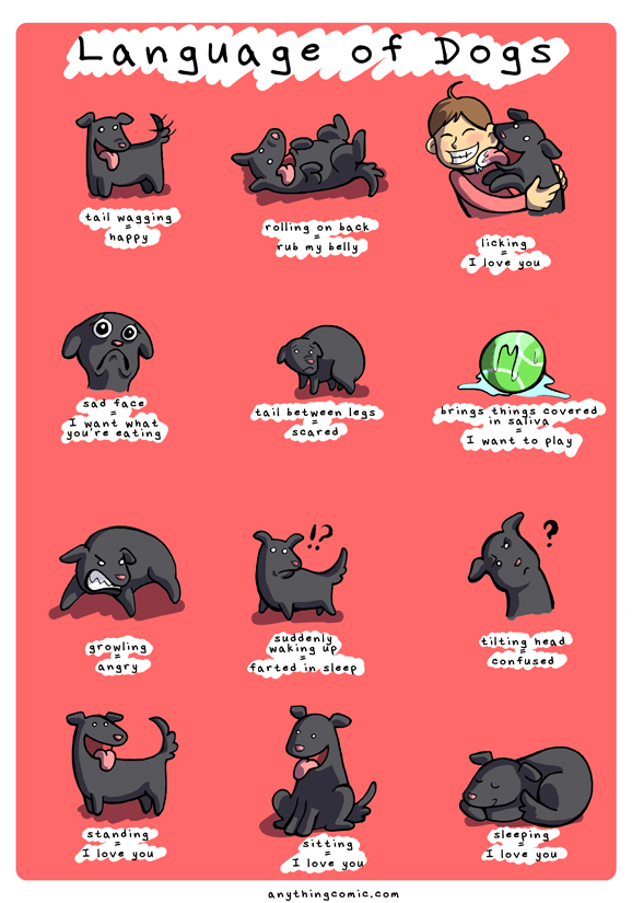 Language of Dogs