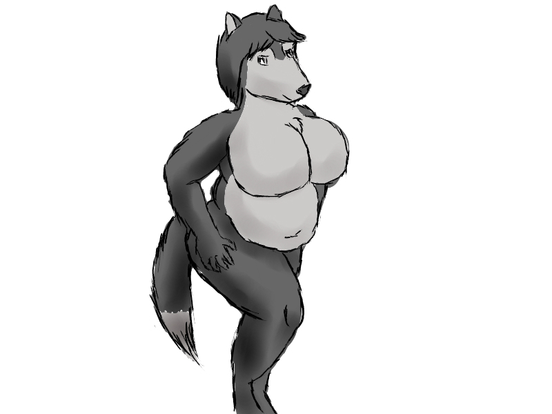 a chubby wolf