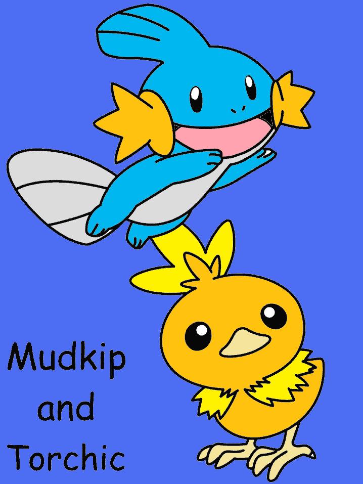 Mudkip and Torchip