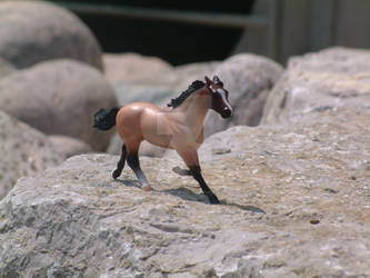 Standardbred 1 by PurpleSunshineStable