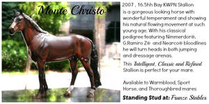 Monte Christo - KWPN Bay Stallion standing Stud ad