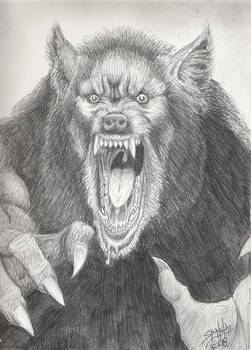 A P.O.W. Pissed Off Werewolf