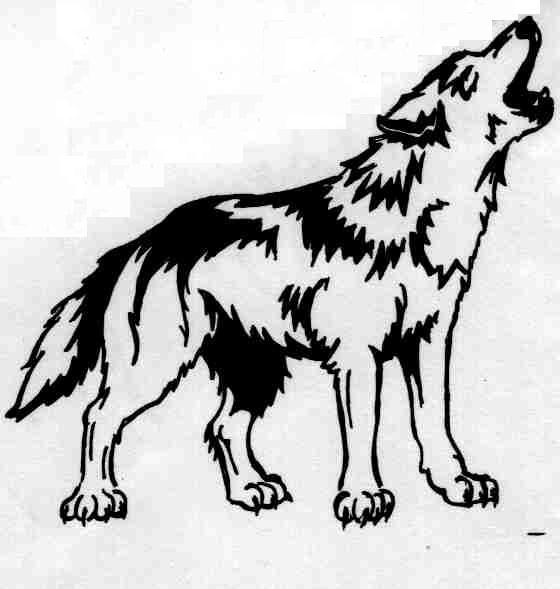 Tribal Wolf Tattoo Design