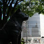 Japan: Shibuya's Hachiko