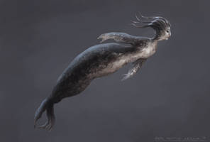 Seal Mermaid concept