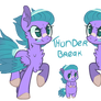 Thunder Break|| MLP Adopt| Closed