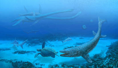 Late Cretaceous sea