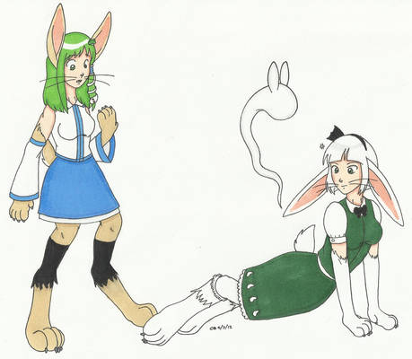 C: Sanae and Youmu rabbit TF