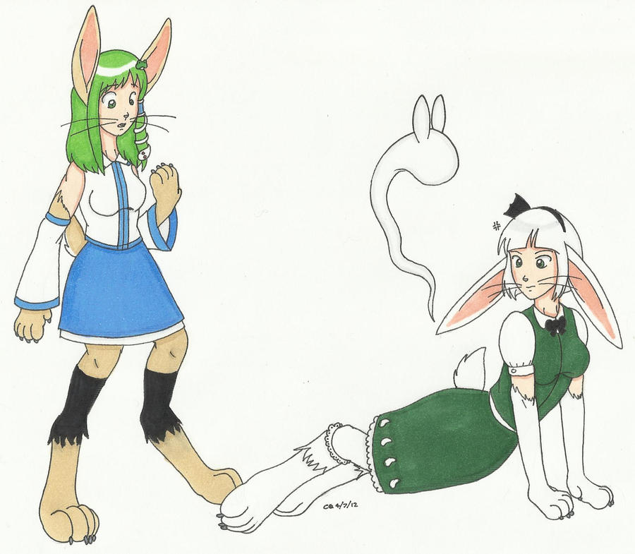 Tf Small Rabbit C: Sanae and Youmu rabbit TF by cqmorrell on DeviantArt