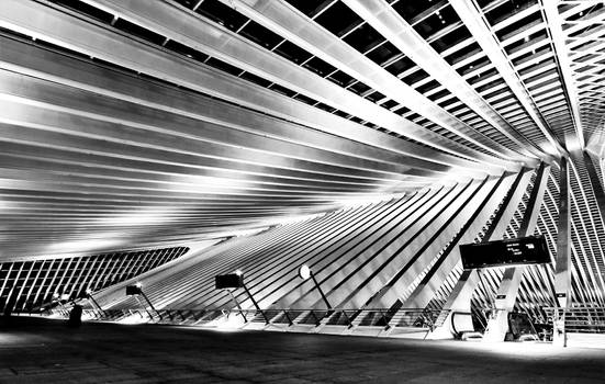 Structure - Liege-Guillemins V