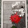 THE ANJULI FLOWER.