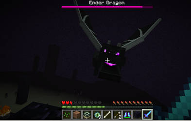 The Ender Dragon