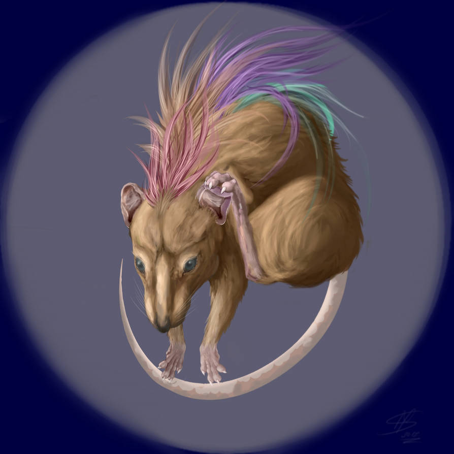 The Rainbow RaT by IzeruMS on DeviantArt