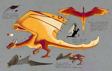 Dragon ref.