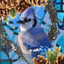 Bluejay