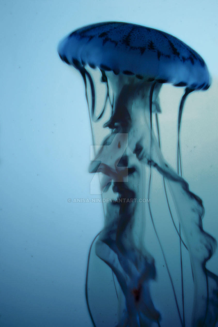 Wraith Of The Sea by Anisa-Nin on DeviantArt