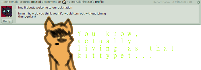 Ask Firestar 2: Kittypet