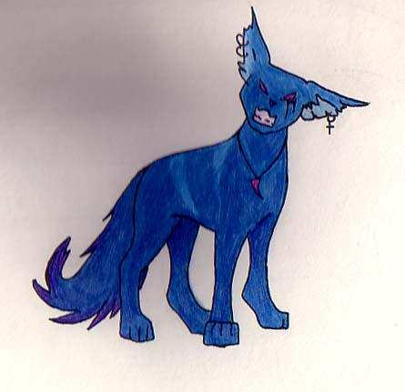 Dark Blue wolf by CoolCharlieewhosAFoY on DeviantArt