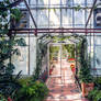 Greenhouse