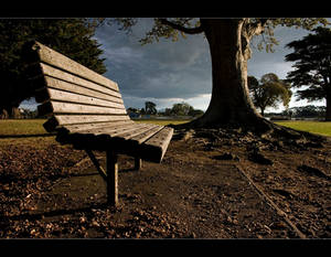 Earthly Bench