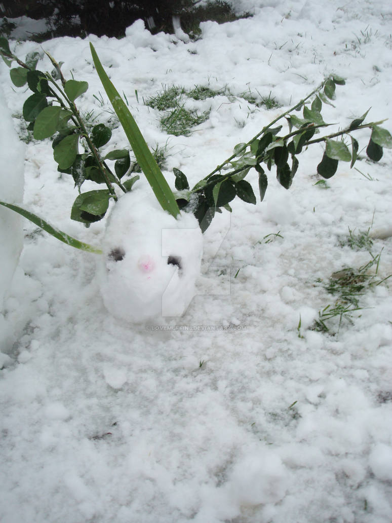 Flying Mint Bunny SnowBunny by LoveMuffin3 on DeviantArt