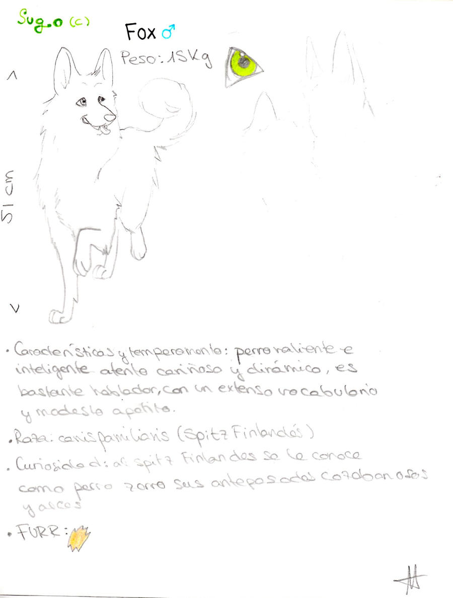 FOX ref sheet by dogerzclub on DeviantArt