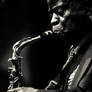 CT Jazz Fest Maceo Parker 2