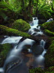 Water Stock - Cement Creek by cbidgie