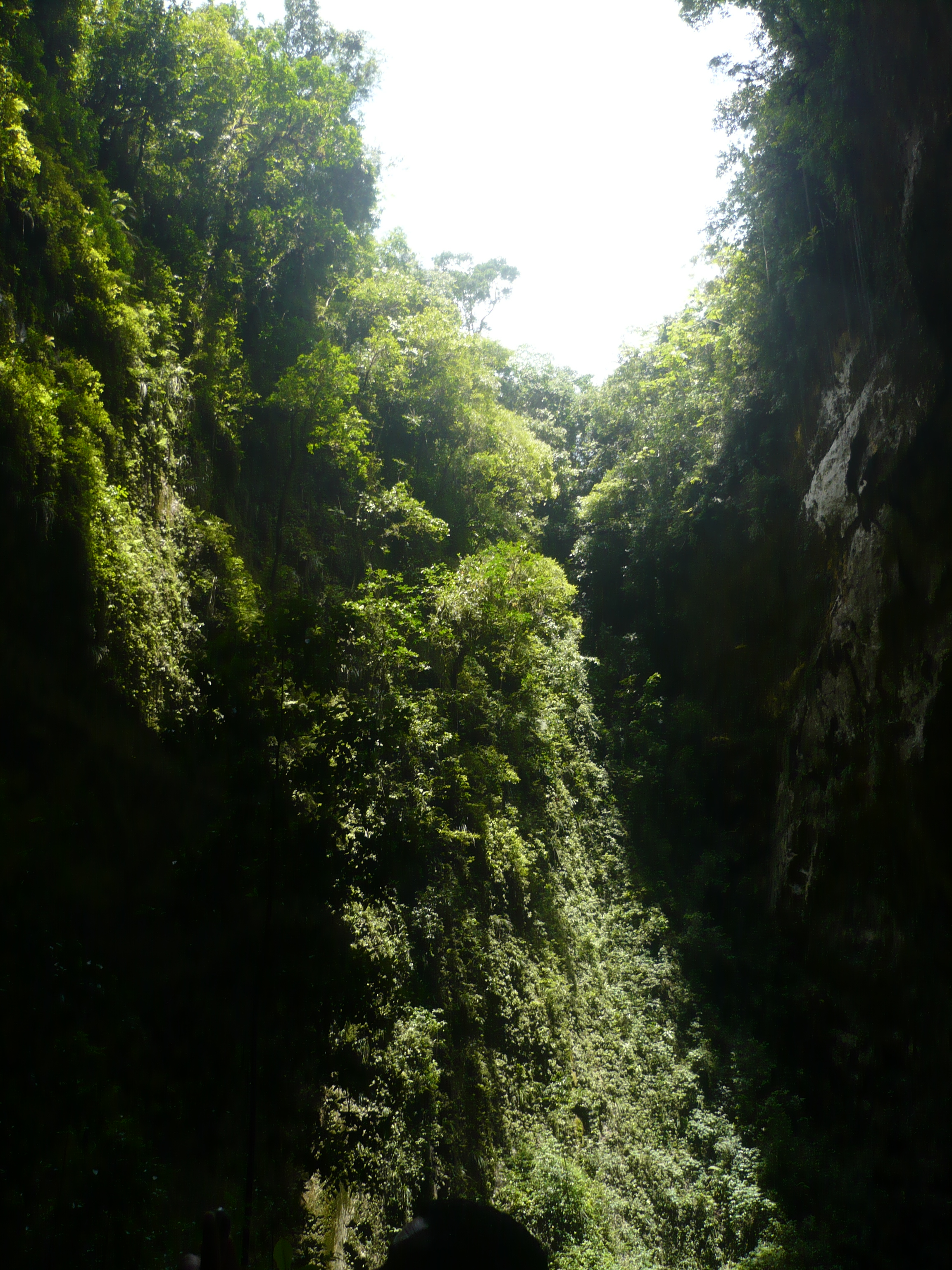 Camuy Caves II