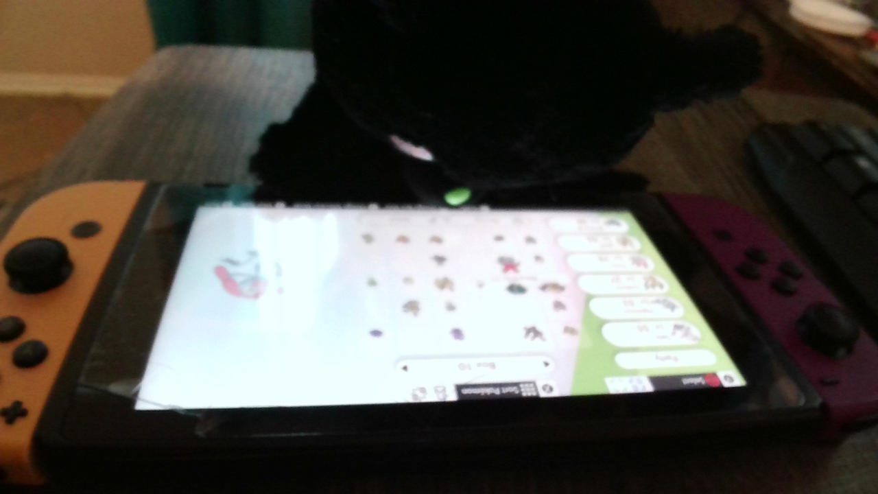Igor Switch Igor on my switch on Pokemon Shield. by LuckyGirla on DeviantArt