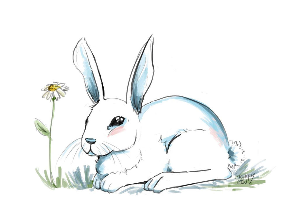 Rabbit by GrumpyRin on DeviantArt
