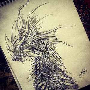 Dragon Profile