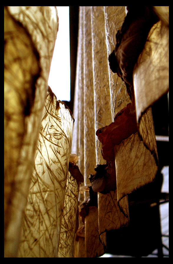 escape hatch by Midnight-Lark on DeviantArt