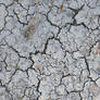 Nasty Cracks IV