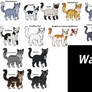 designs warrior cats Map