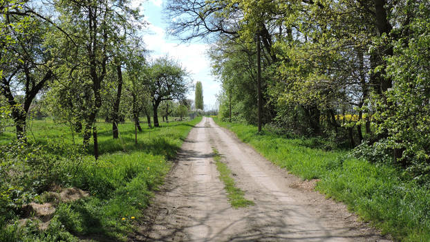 Strasse zum Tierheim