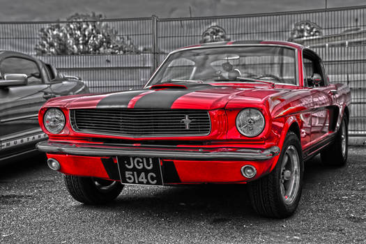 Mustang 65'