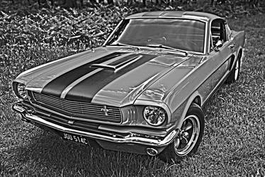 Mustang Fastback 1965 GT350 Front BnW