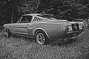 Mustang Fastback 1965 GT350 Side BnW