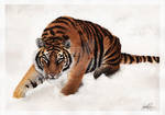 Amur Tiger Painting by The-Blackwolf
