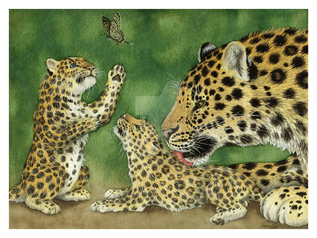 Amur Leopards - Contest entry by The-Blackwolf on DeviantArt