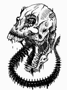 Skull of a marked beast