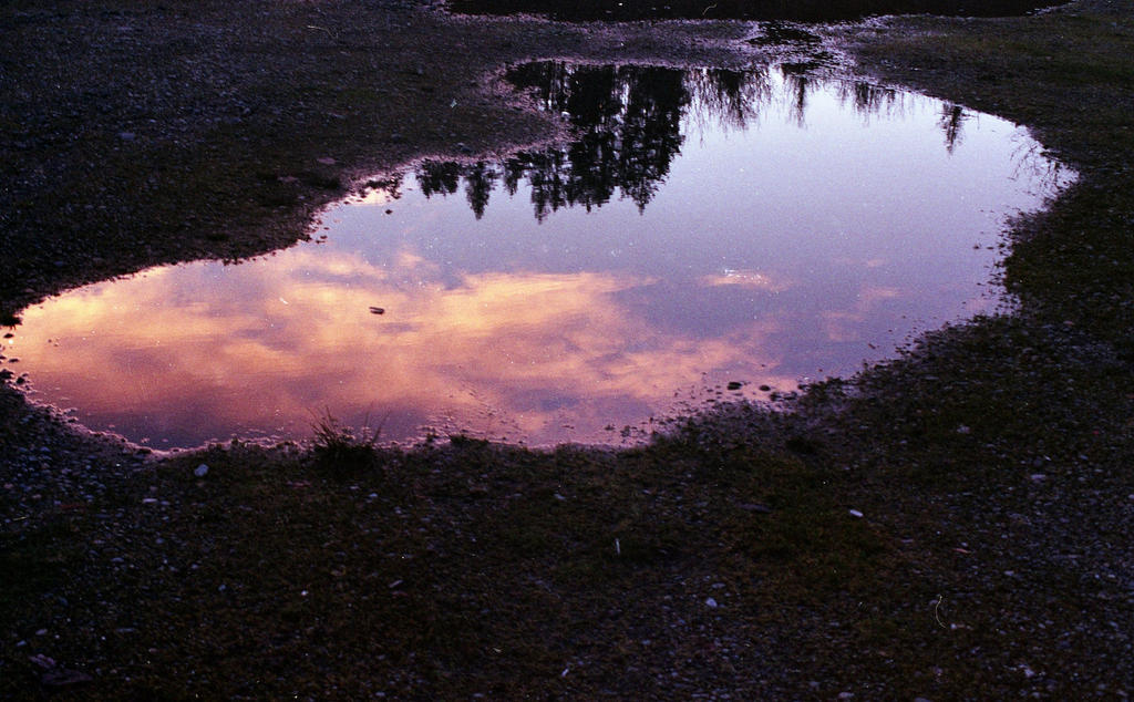 pretty puddle by ultimopaso on DeviantArt
