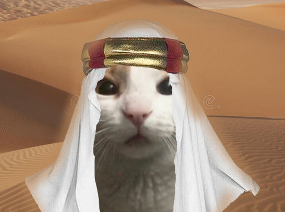 Arabian Cat Meme By NayReee On DeviantArt arabian-cat-meme-by-nayreee-on-deviantart