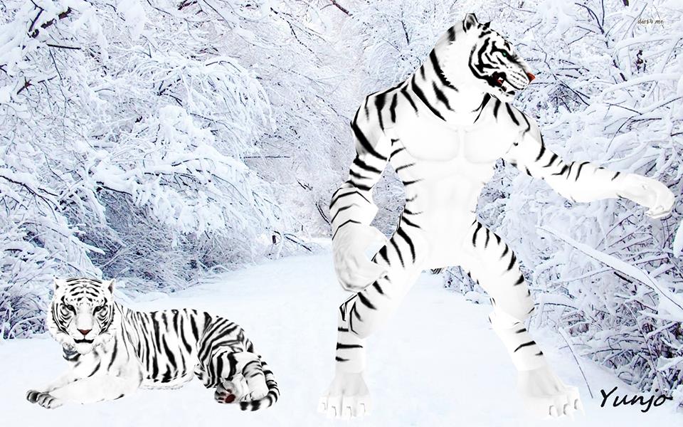 Tiger Evolution