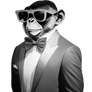 stylish Funny Cool design graphic Animal monkey Mo