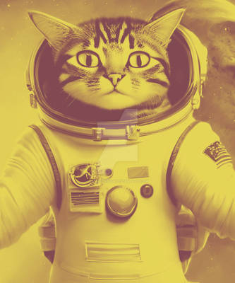 Funny Cat possibilities Cats Astronaut Space bound